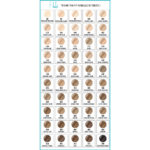 Maybelline New York Fond De Teint Fluide Fit Me Matte Poreless 110 Porcelaine